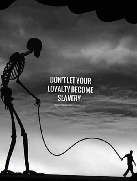 FB_IMG_16020647052774744.jpg