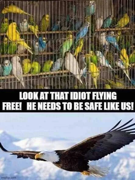 FB_IMG_16023321608175071.jpg