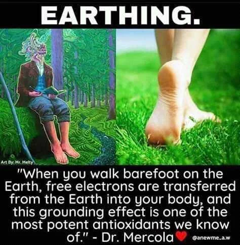 FB_IMG_16023268880116541.jpg