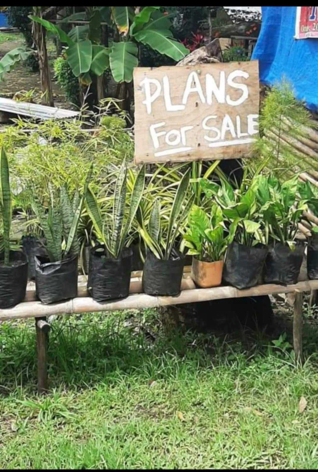 plans