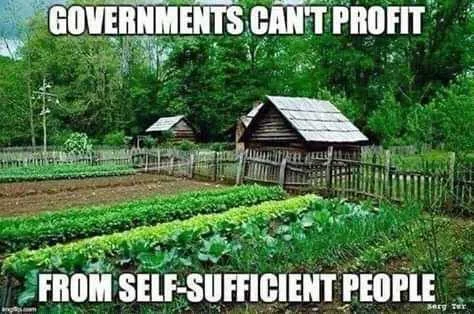 FB_IMG_16034443490691029.jpg