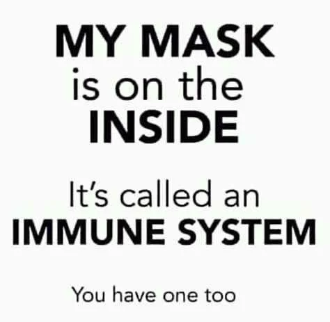 FB_IMG_16031420687919756.jpg