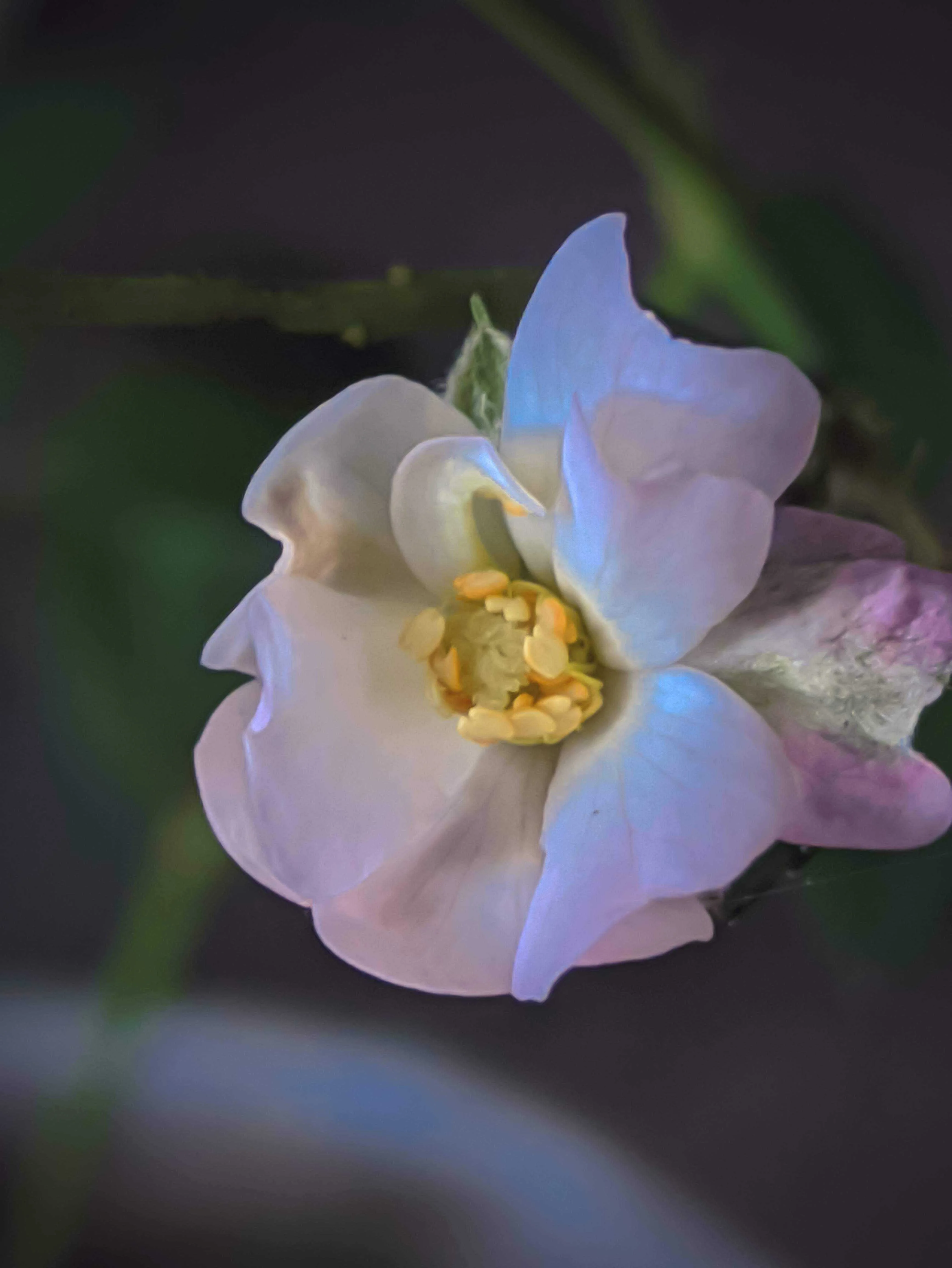 MVIMG_20201021_084203.jpg