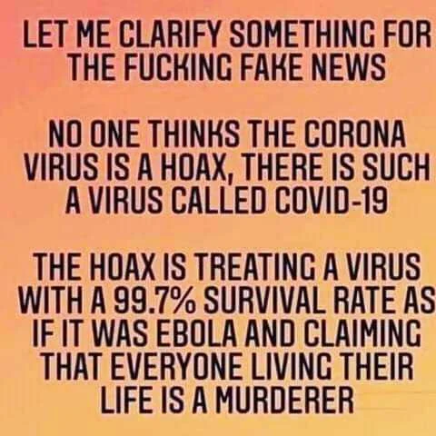 FB_IMG_16039275362562759.jpg