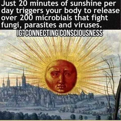 98484484_2882437498518855_8325639127991058432_n.jpg