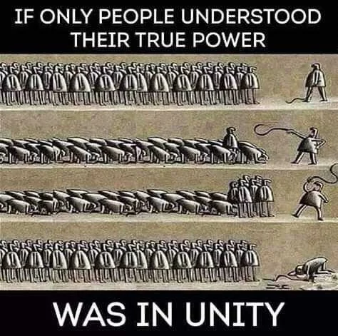 FB_IMG_16042715637203544.jpg