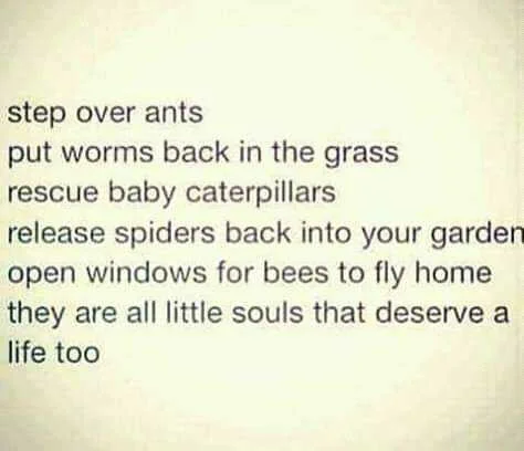 FB_IMG_16042712447854924.jpg