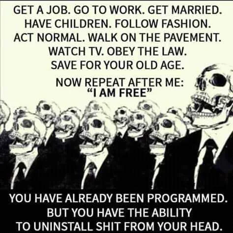 FB_IMG_16042710833573457.jpg