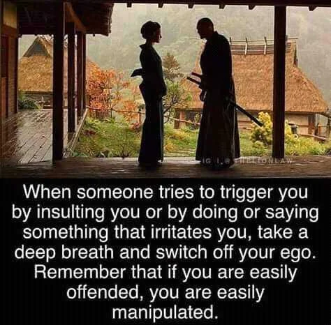 FB_IMG_16042709085309045.jpg