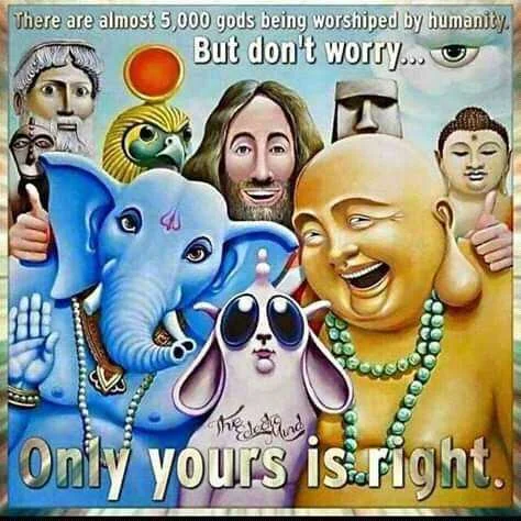 FB_IMG_16042704766568565.jpg