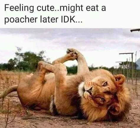 FB_IMG_16042687039104573.jpg