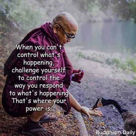 FB_IMG_16042686516473396.jpg