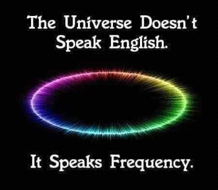FB_IMG_16042685652402294.jpg