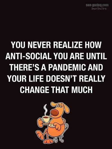 FB_IMG_16042681461025566.jpg