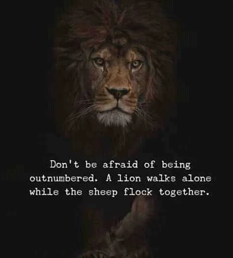 FB_IMG_16042680036169149.jpg