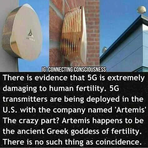 FB_IMG_16074135133706870.jpg