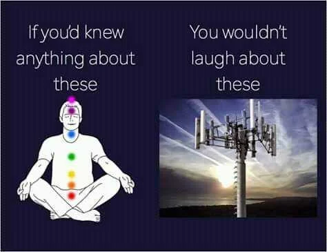FB_IMG_16074134799199589.jpg