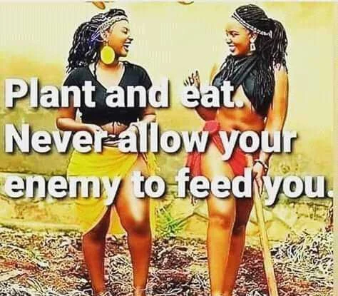 FB_IMG_16085615648116018.jpg