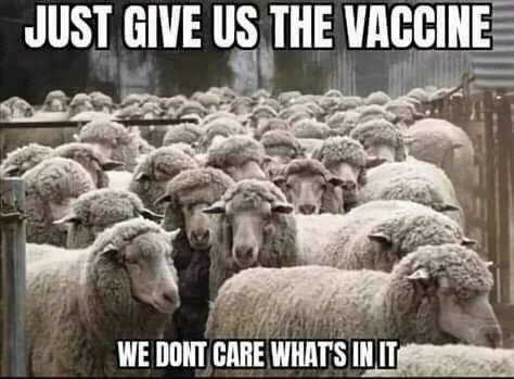 FB_IMG_16085614764895113.jpg
