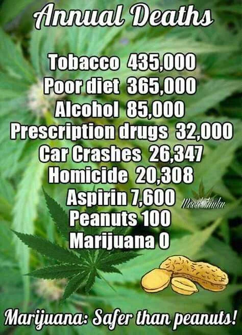 cannabis