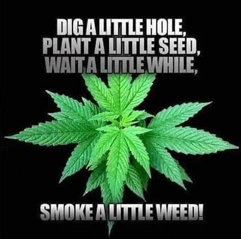 FB_IMG_16098914110015505.jpg