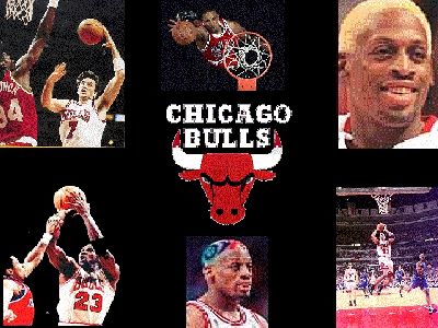 chibulls.2.jpg