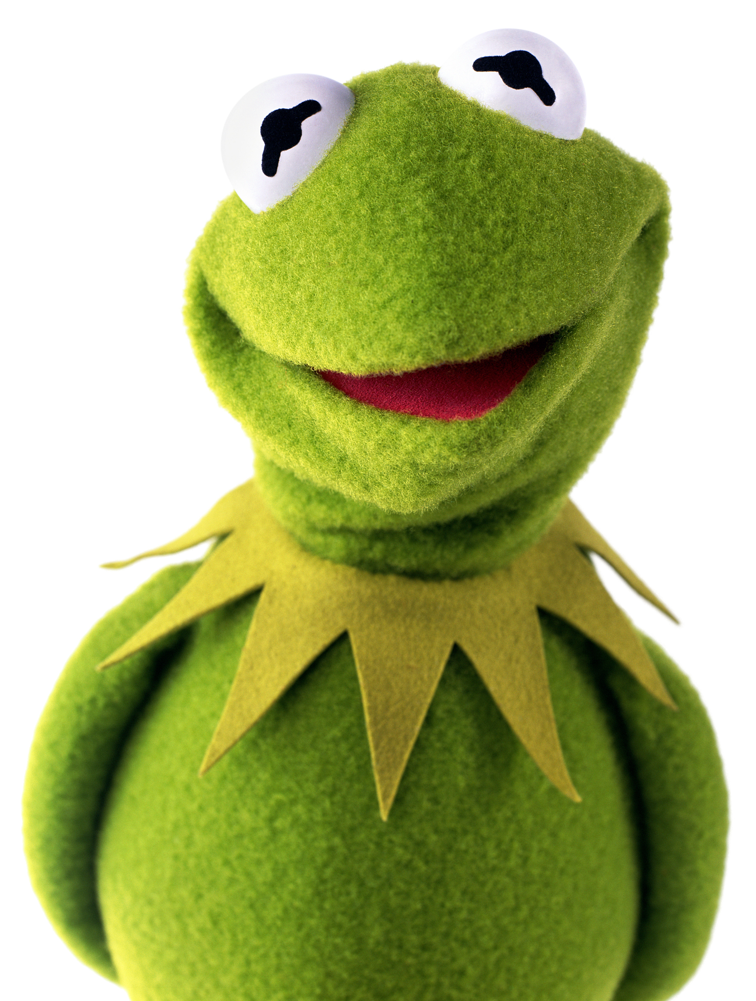 406654847-KermitTheFrog-CutePhoto.jpg