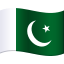 🇵🇰