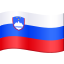 🇸🇮