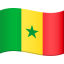 🇸🇳