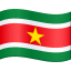 🇸🇷