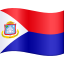 🇸🇽