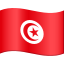 Flag: Tunisia :flag_tn: ๐น๐ณ