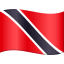 🇹🇹