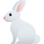 Rabbit :rabbit2: 🐇