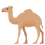 Camel :dromedary_camel: 🐪