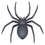Spider :spider: 🕷️