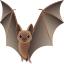 Bat :bat: 🦇