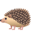 Hedgehog :hedgehog: 🦔
