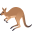 Kangaroo :kangaroo: 🦘