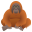 Orangutan :orangutan: ๐ฆง