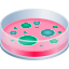 Petri dish :petri_dish: 🧫