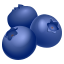 Blueberries :blueberries: ๐ซ