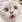 CATWait :CATWait: :CATWait: