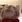 Cats :Cats: :Cats: