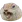 squirrelRAGE :squirrelRAGE: :squirrelRAGE: